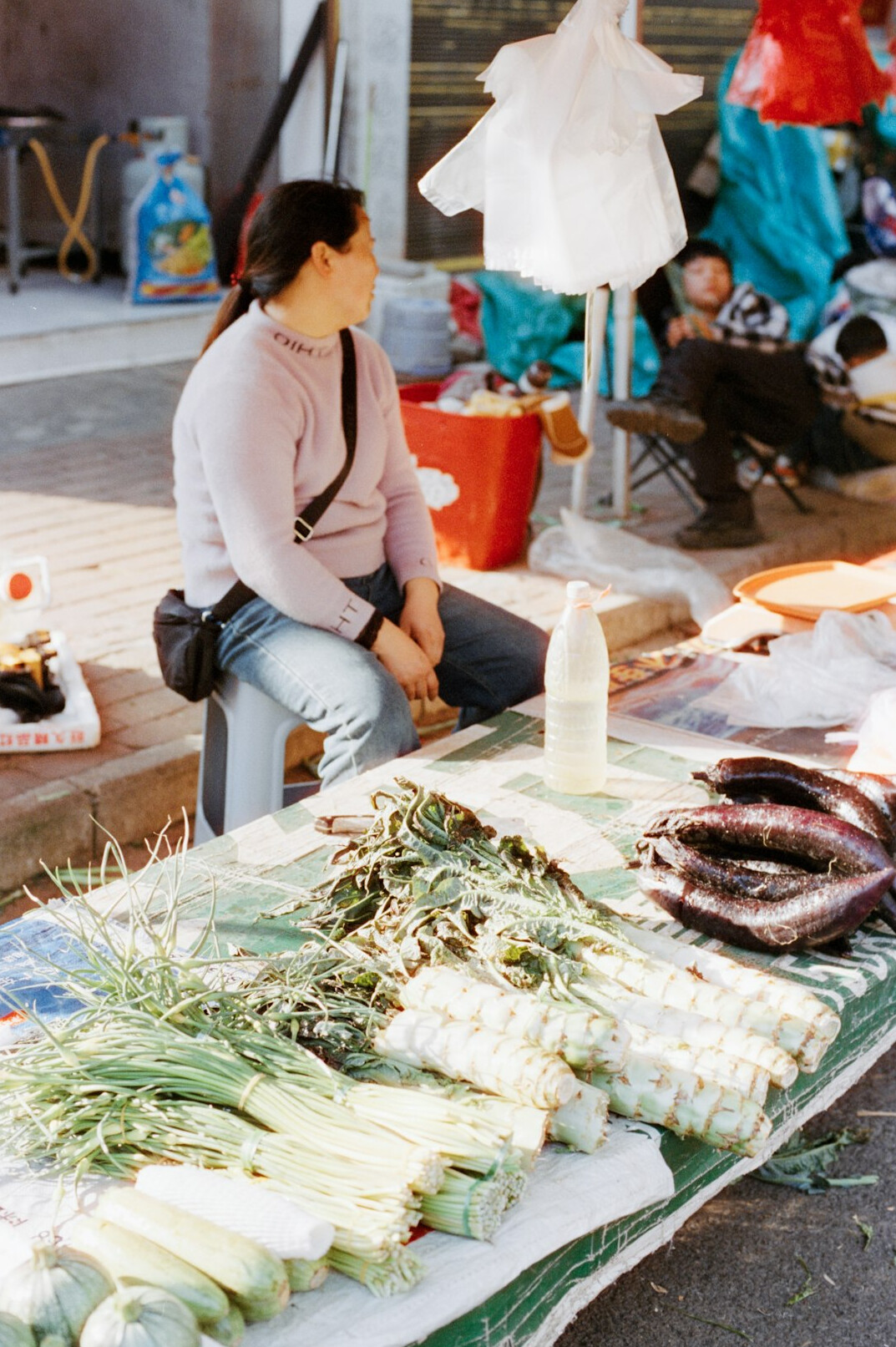 Chilean woman selling produce at a traditional market stall